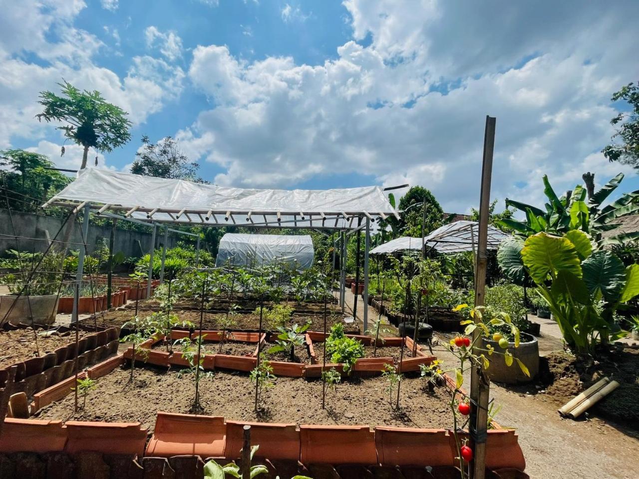 Anggrek Putih Lombok Cooking Class And Homestay Senggigi Exterior photo