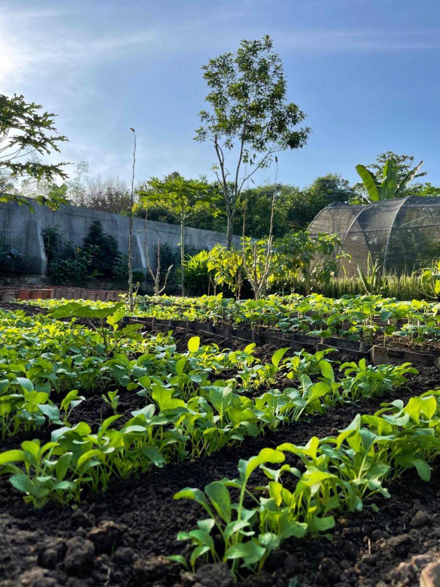 Anggrek Putih Lombok Cooking Class And Homestay Senggigi Exterior photo