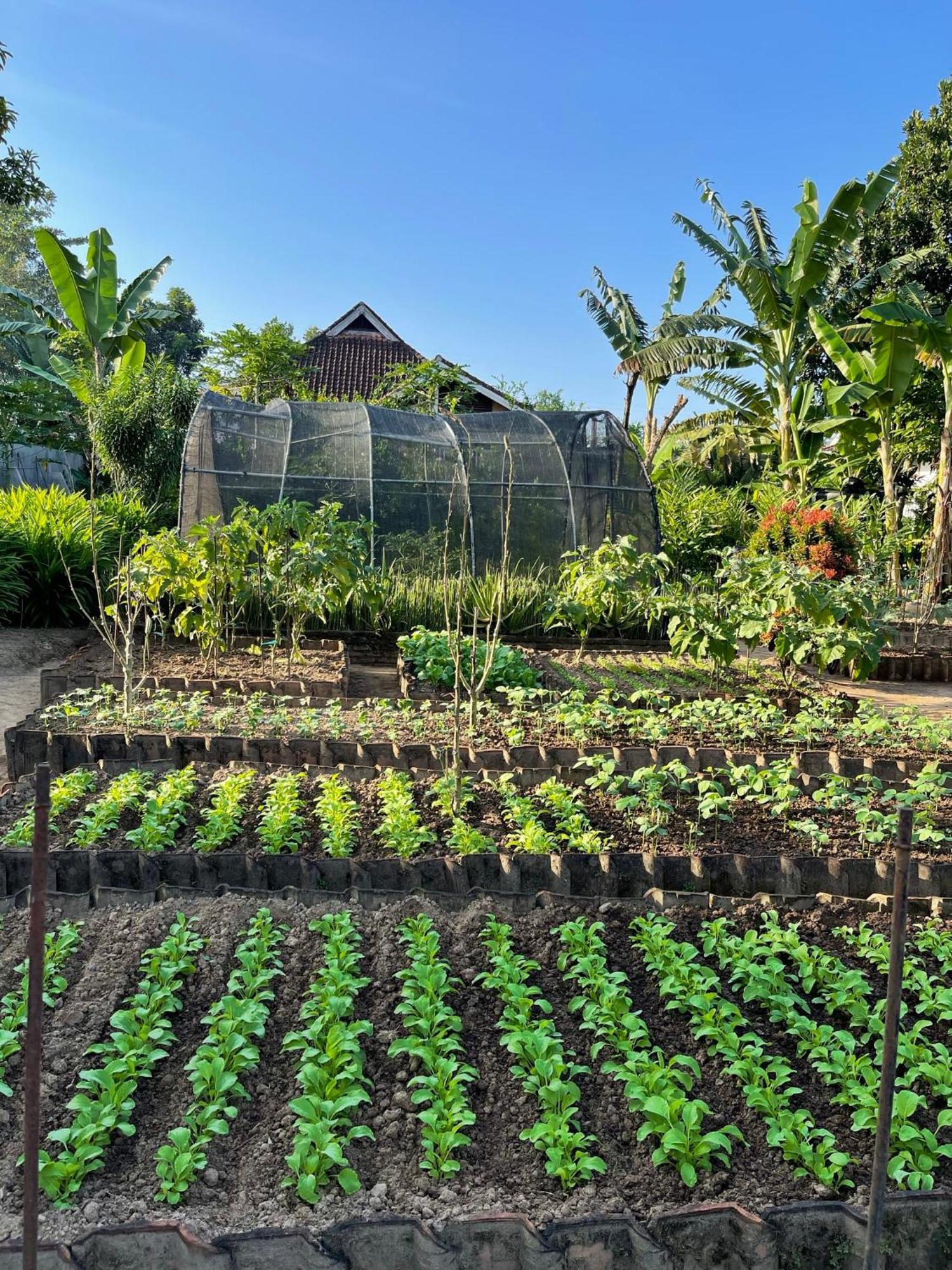 Anggrek Putih Lombok Cooking Class And Homestay Senggigi Exterior photo
