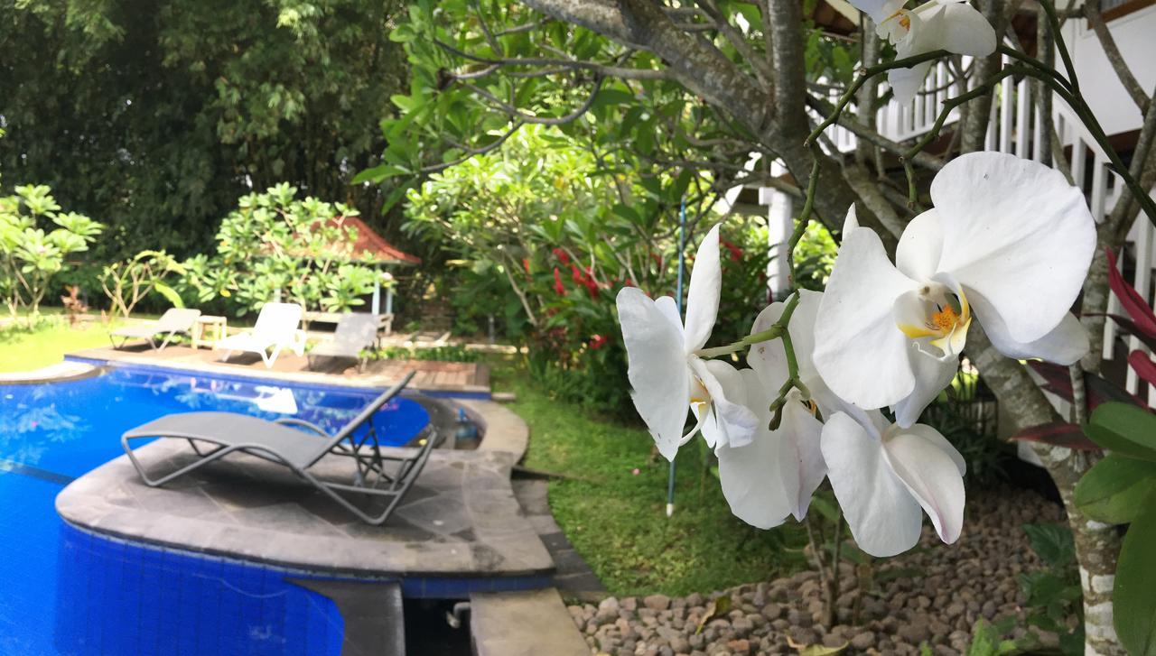 Anggrek Putih Lombok Cooking Class And Homestay Senggigi Room photo