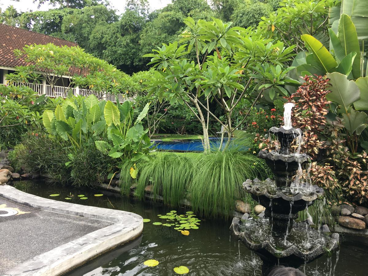 Anggrek Putih Lombok Cooking Class And Homestay Senggigi Room photo